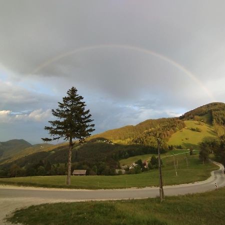 Отель Planinski Dom Vrhe Trbovlje Экстерьер фото