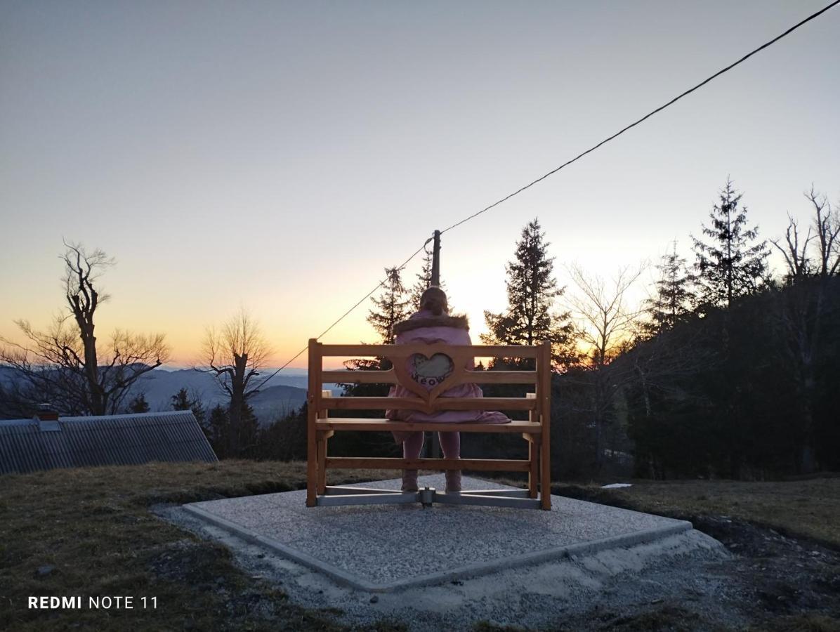 Отель Planinski Dom Vrhe Trbovlje Экстерьер фото